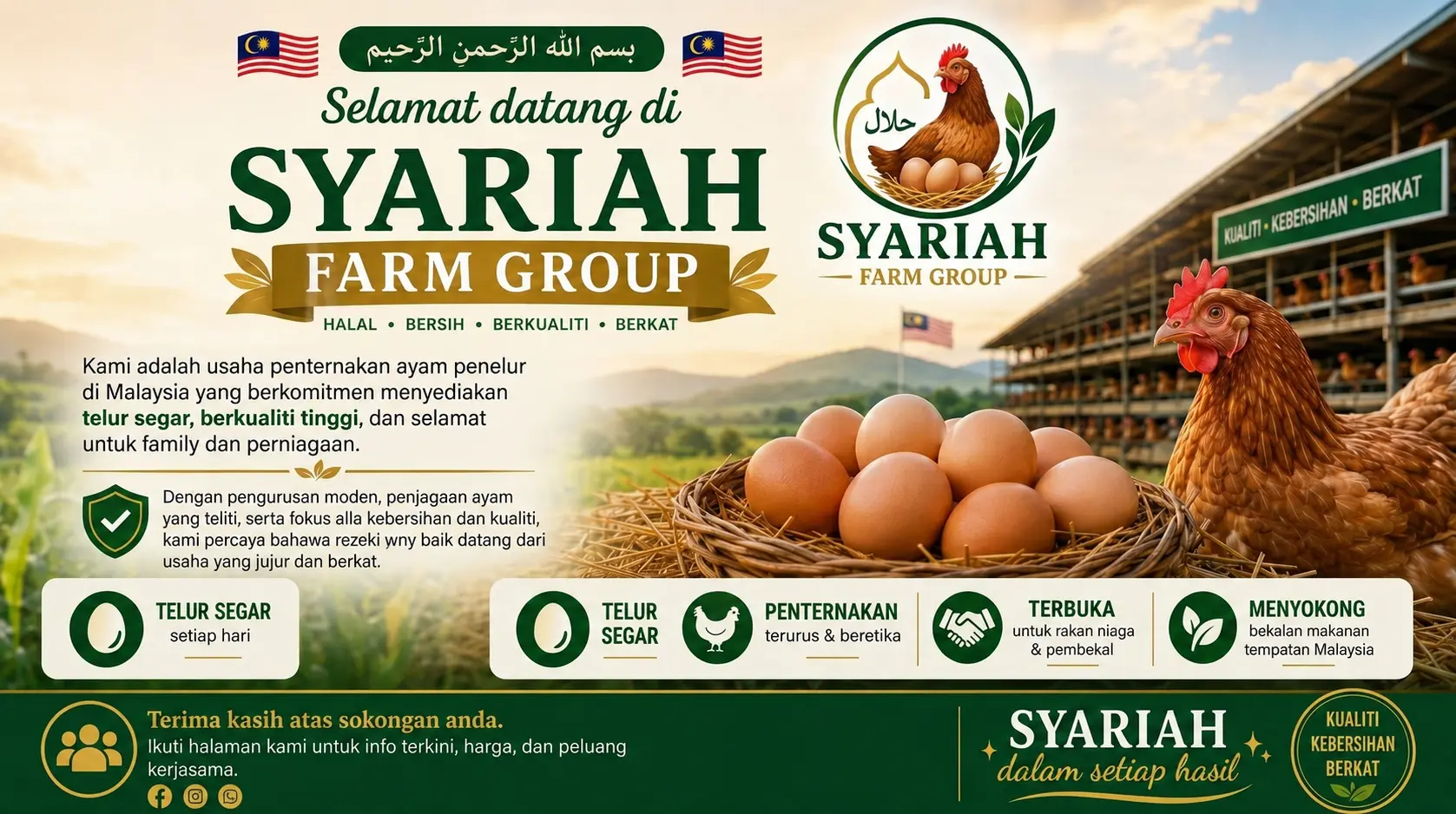 Syariah Farm Group, penternakan ayam petelur Malaysia