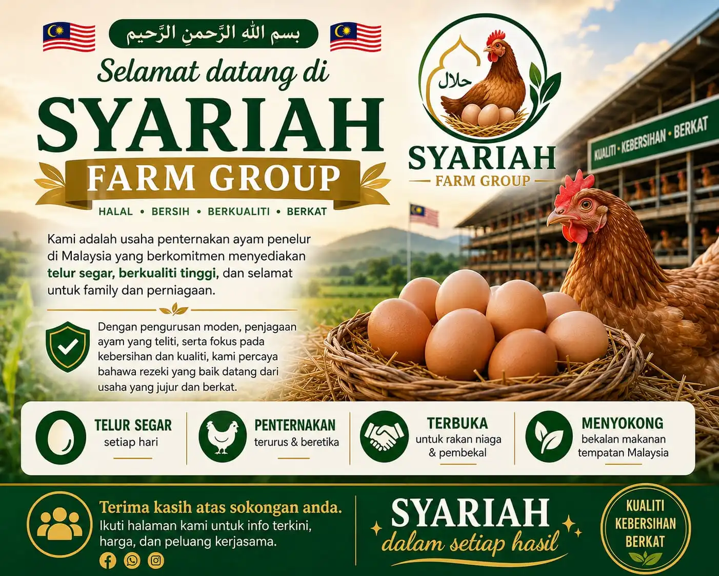 Syariah Farm Group, penternakan ayam petelur Malaysia