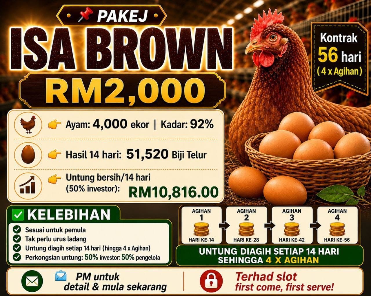 PAKEJ ISA BROWN